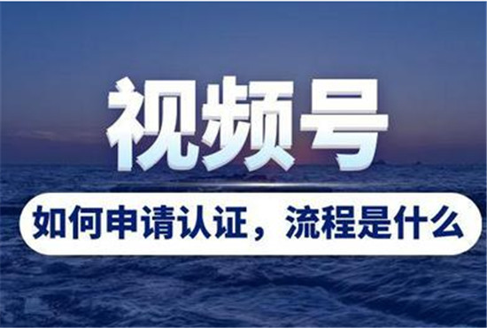 微信视频号怎么认证  申请认证教程完整步骤分享