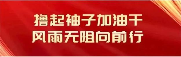 微信公众号刷粉代理