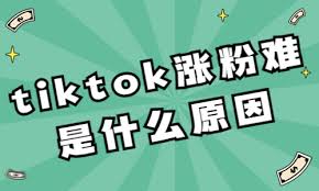 tiktok刷粉丝买点赞 加播放量