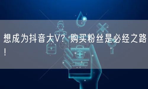 想成为抖音大V？购买粉丝是必经之路！