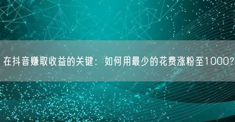 在抖音赚取收益的关键：如何用最少的花费涨粉至1000？