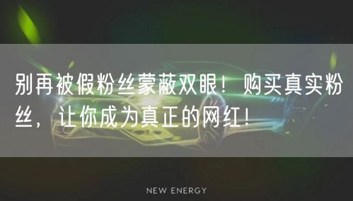 别再被假粉丝蒙蔽双眼！购买真实粉丝，让你成为真正的网红！