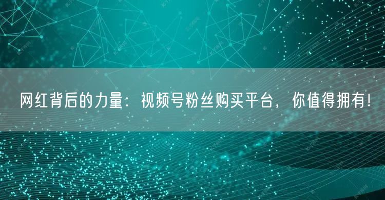 网红背后的力量：视频号粉丝购买平台，你值得拥有！