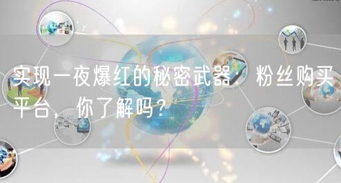 实现一夜爆红的秘密武器：粉丝购买平台，你了解吗？