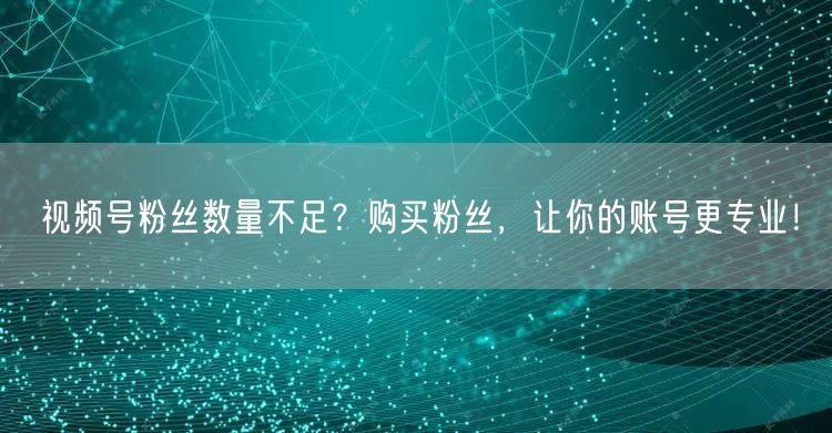 视频号粉丝数量不足？购买粉丝，让你的账号更专业！