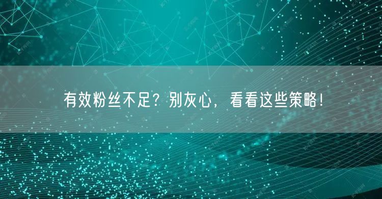 有效粉丝不足？别灰心，看看这些策略！