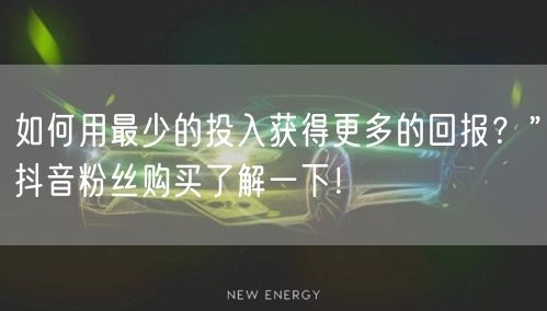 如何用最少的投入获得更多的回报？”抖音粉丝购买了解一下！