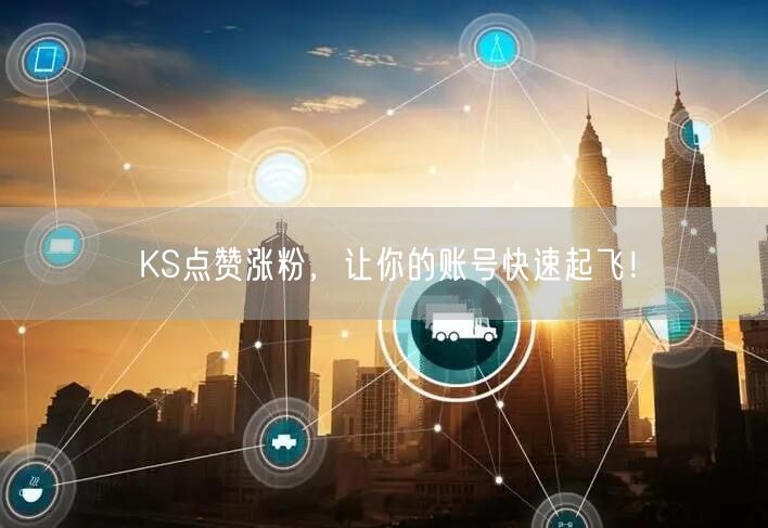 KS点赞涨粉，让你的账号快速起飞！