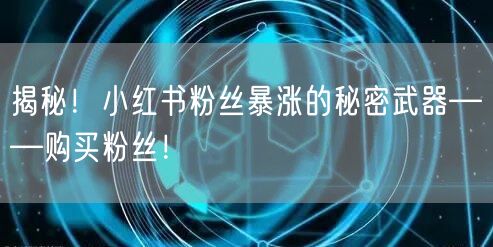 揭秘！小红书粉丝暴涨的秘密武器——购买粉丝！