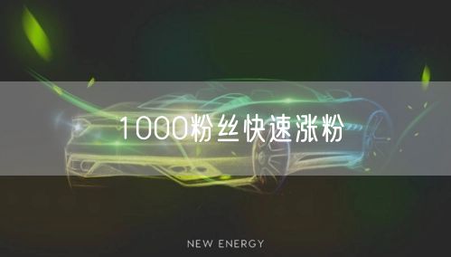 1000粉丝快速涨粉