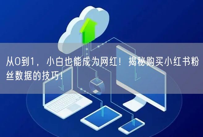 从0到1，小白也能成为网红！揭秘购买小红书粉丝数据的技巧！