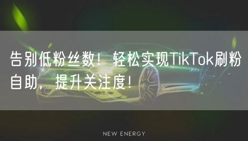 告别低粉丝数！轻松实现TikTok刷粉自助，提升关注度！