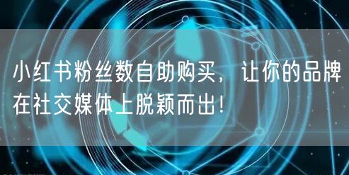 小红书粉丝数自助购买，让你的品牌在社交媒体上脱颖而出！