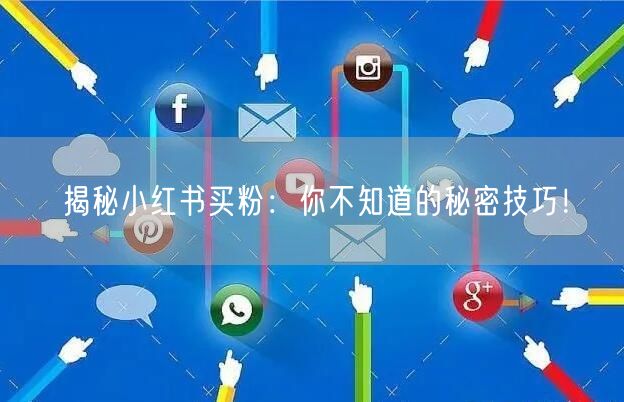 揭秘小红书买粉：你不知道的秘密技巧！