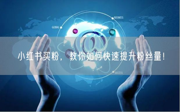 小红书买粉，教你如何快速提升粉丝量！