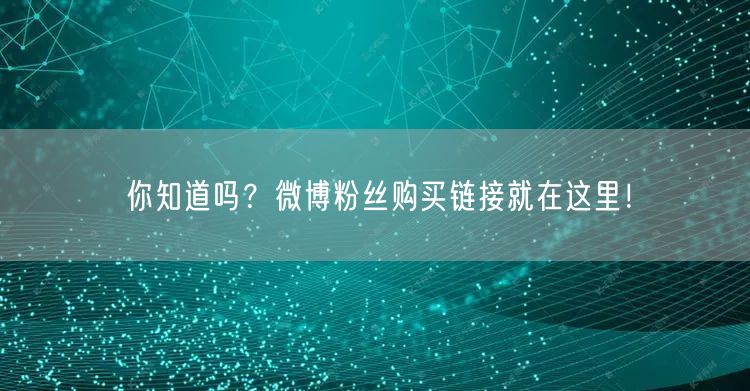 你知道吗？微博粉丝购买链接就在这里！