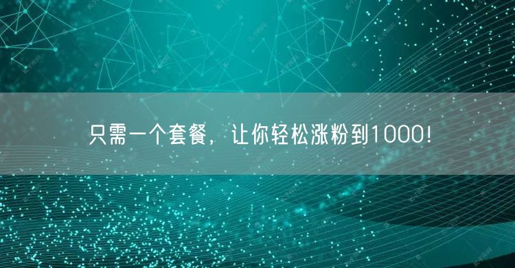 只需一个套餐，让你轻松涨粉到1000！