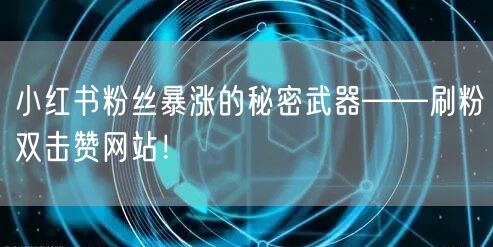 小红书粉丝暴涨的秘密武器——刷粉双击赞网站！