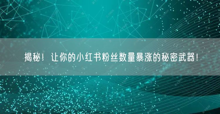 揭秘！让你的小红书粉丝数量暴涨的秘密武器！