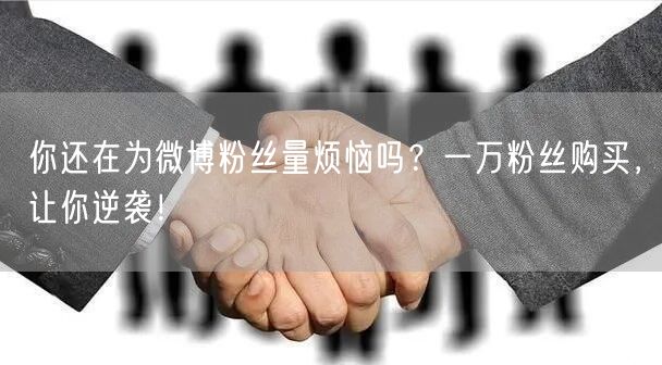 你还在为微博粉丝量烦恼吗？一万粉丝购买，让你逆袭！