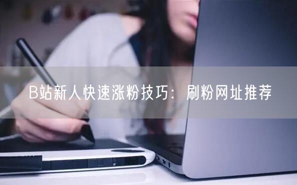 B站新人快速涨粉技巧：刷粉网址推荐