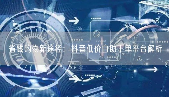 省钱购物新途径：抖音低价自助下单平台解析