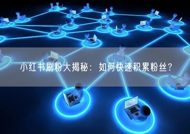 小红书刷粉大揭秘：如何快速积累粉丝？