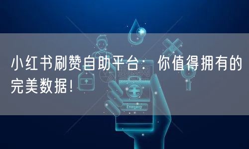 小红书刷赞自助平台：你值得拥有的完美数据！