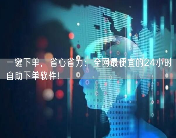 一键下单，省心省力：全网最便宜的24小时自助下单软件！