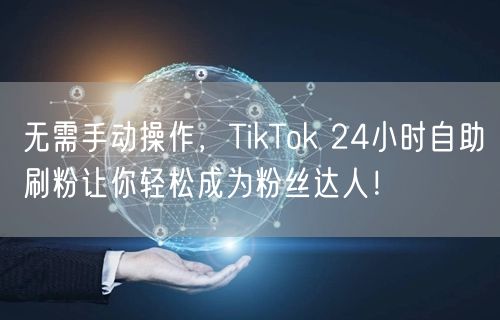 无需手动操作，TikTok 24小时自助刷粉让你轻松成为粉丝达人！