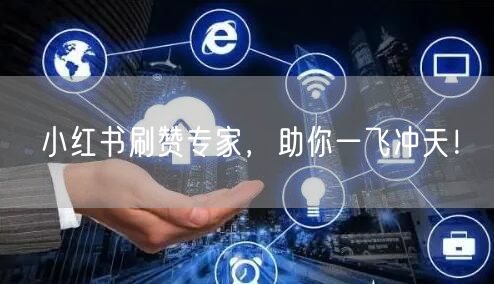 小红书刷赞专家，助你一飞冲天！