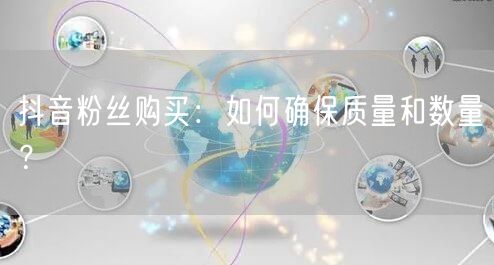 抖音粉丝购买：如何确保质量和数量？