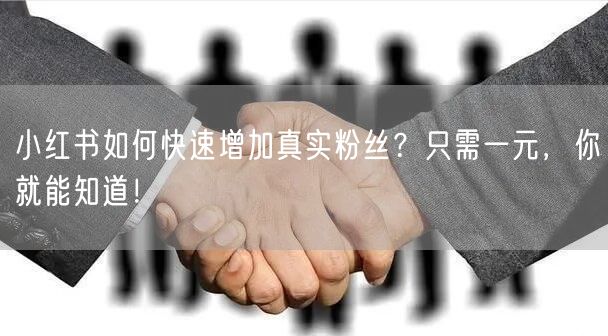 小红书如何快速增加真实粉丝？只需一元，你就能知道！