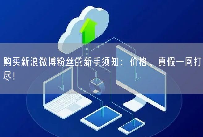 购买新浪微博粉丝的新手须知：价格、真假一网打尽！