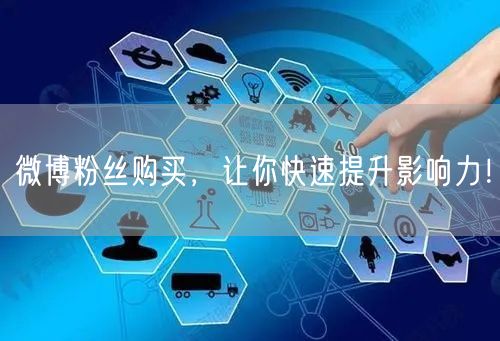 微博粉丝购买，让你快速提升影响力！