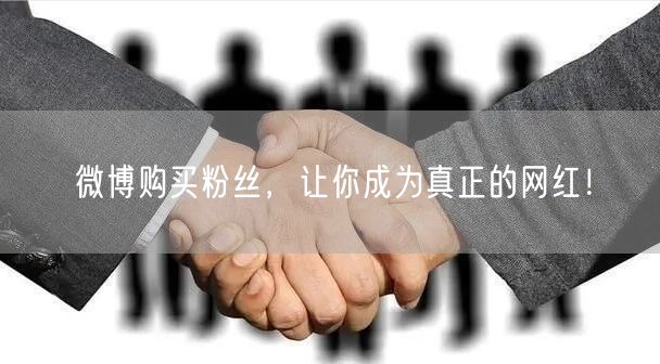 微博购买粉丝，让你成为真正的网红！
