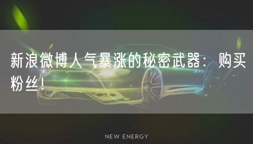 新浪微博人气暴涨的秘密武器：购买粉丝！