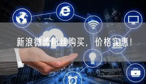 新浪微博粉丝购买，价格实惠！