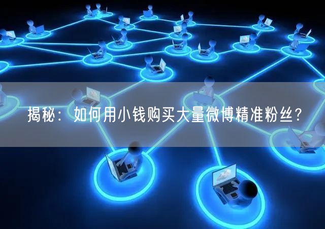 揭秘：如何用小钱购买大量微博精准粉丝？