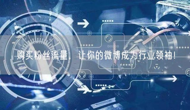 购买粉丝流量，让你的微博成为行业领袖！