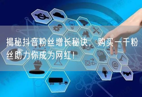 揭秘抖音粉丝增长秘诀，购买一千粉丝助力你成为网红！