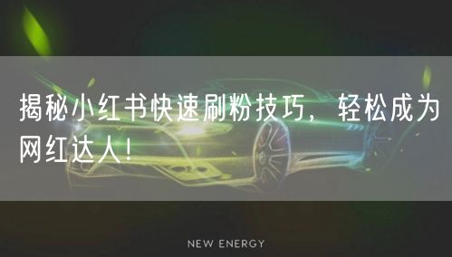揭秘小红书快速刷粉技巧，轻松成为网红达人！