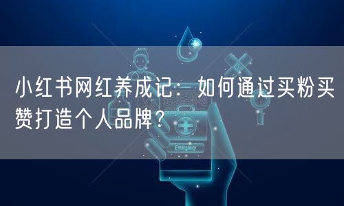 小红书网红养成记：如何通过买粉买赞打造个人品牌？