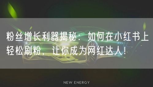 粉丝增长利器揭秘：如何在小红书上轻松刷粉，让你成为网红达人！
