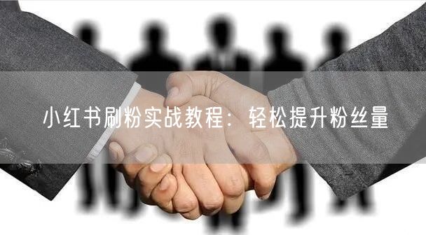 小红书刷粉实战教程：轻松提升粉丝量