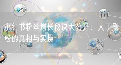 小红书粉丝增长秘诀大公开：人工刷粉的真相与实操