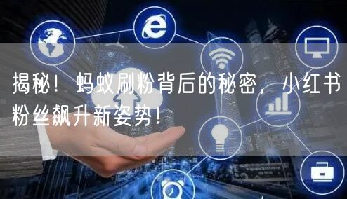 揭秘！蚂蚁刷粉背后的秘密，小红书粉丝飙升新姿势！