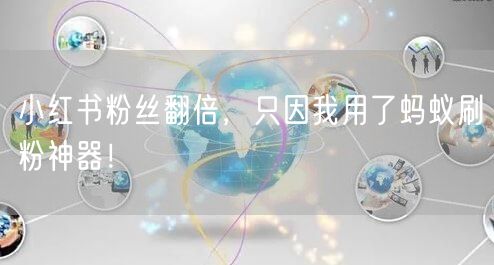 小红书粉丝翻倍，只因我用了蚂蚁刷粉神器！