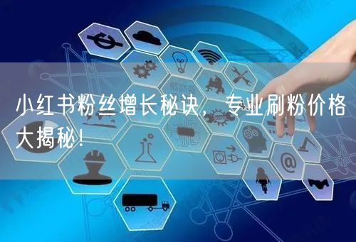 小红书粉丝增长秘诀，专业刷粉价格大揭秘！