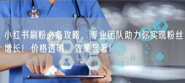 小红书刷粉必备攻略，专业团队助力你实现粉丝增长！价格透明，效果显著！